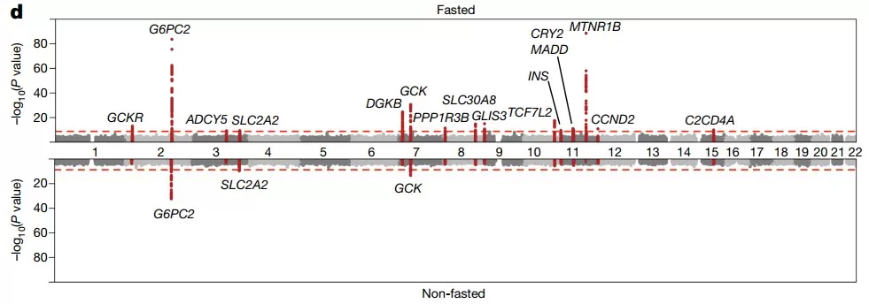 Results of the GWAS for glucose for the fasted (top; total n = 68,559) and non-fasted (bottom; total n = 58,112) cohorts